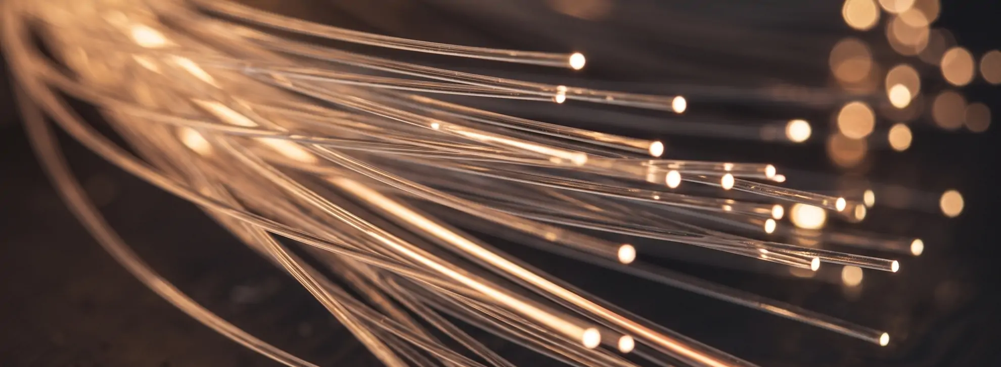 fiber optic splitter PLC vs FBT, 1x8 1x32 split ratio, fiber optic splitter cassette, SC APC connector, insertion loss ODN